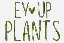 Ey-Up Plants